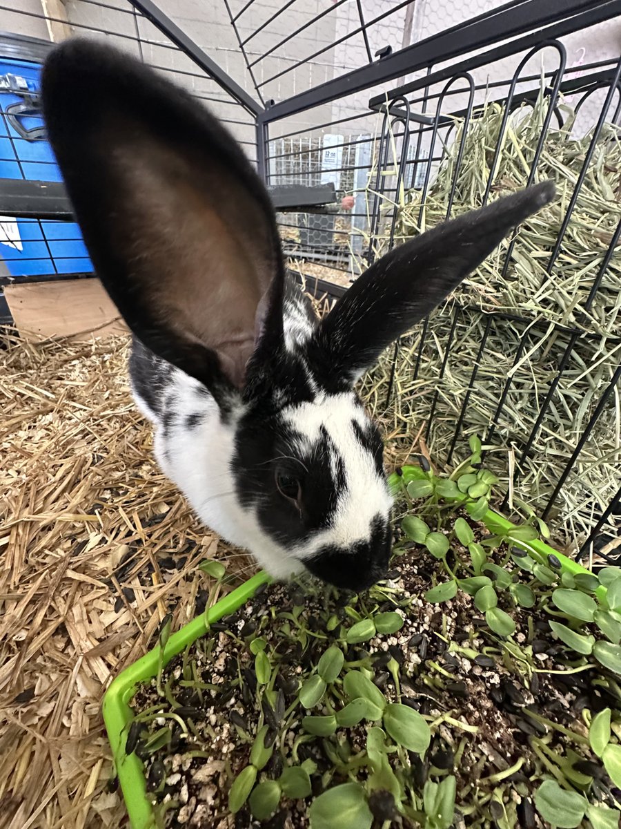 Explore Pathways at Highland tweet media