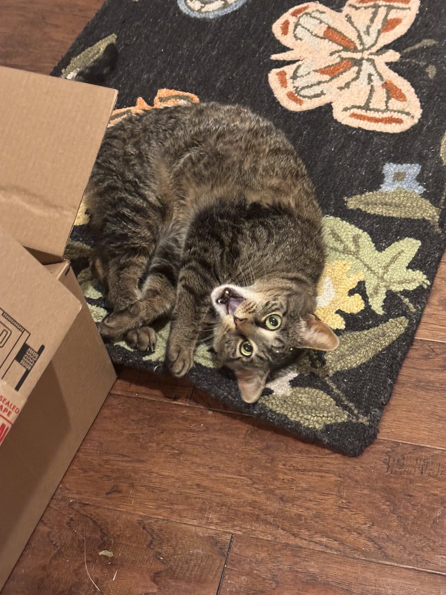 bestey NO WAE ‼️‼️‼️