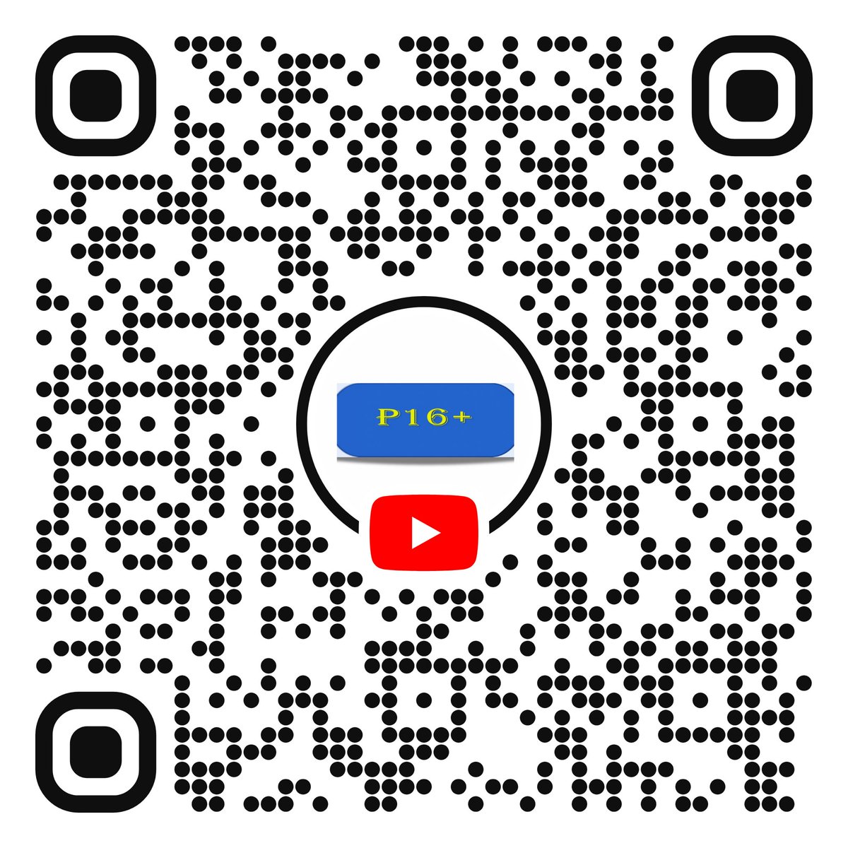 Pro 16 Plus Limited tweet media