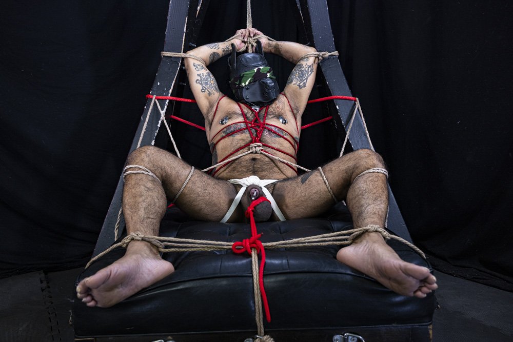 Francisco Perales 🔞 (@franciscoperale) on Twitter photo 