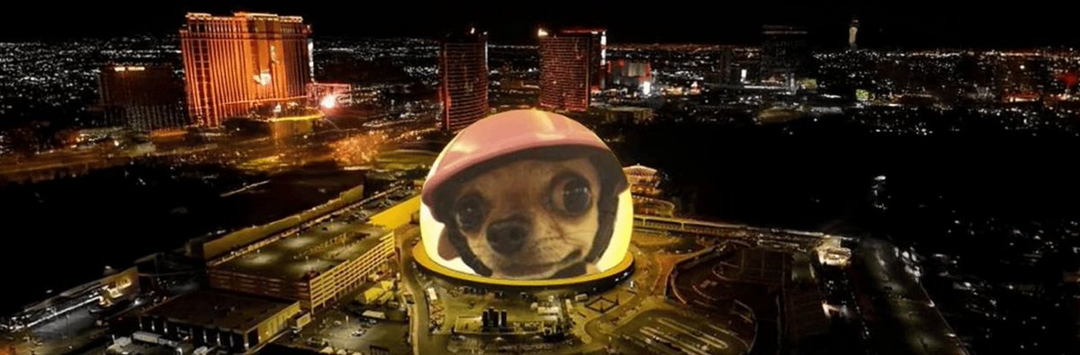 I was the original deployer of dog wef tism that ran to over $2 million market cap!

back then we didnt have creator rewards so I was limited on the contribution I could make to the coin and community

with pump fun's new creator reward system we can spread the tism further -