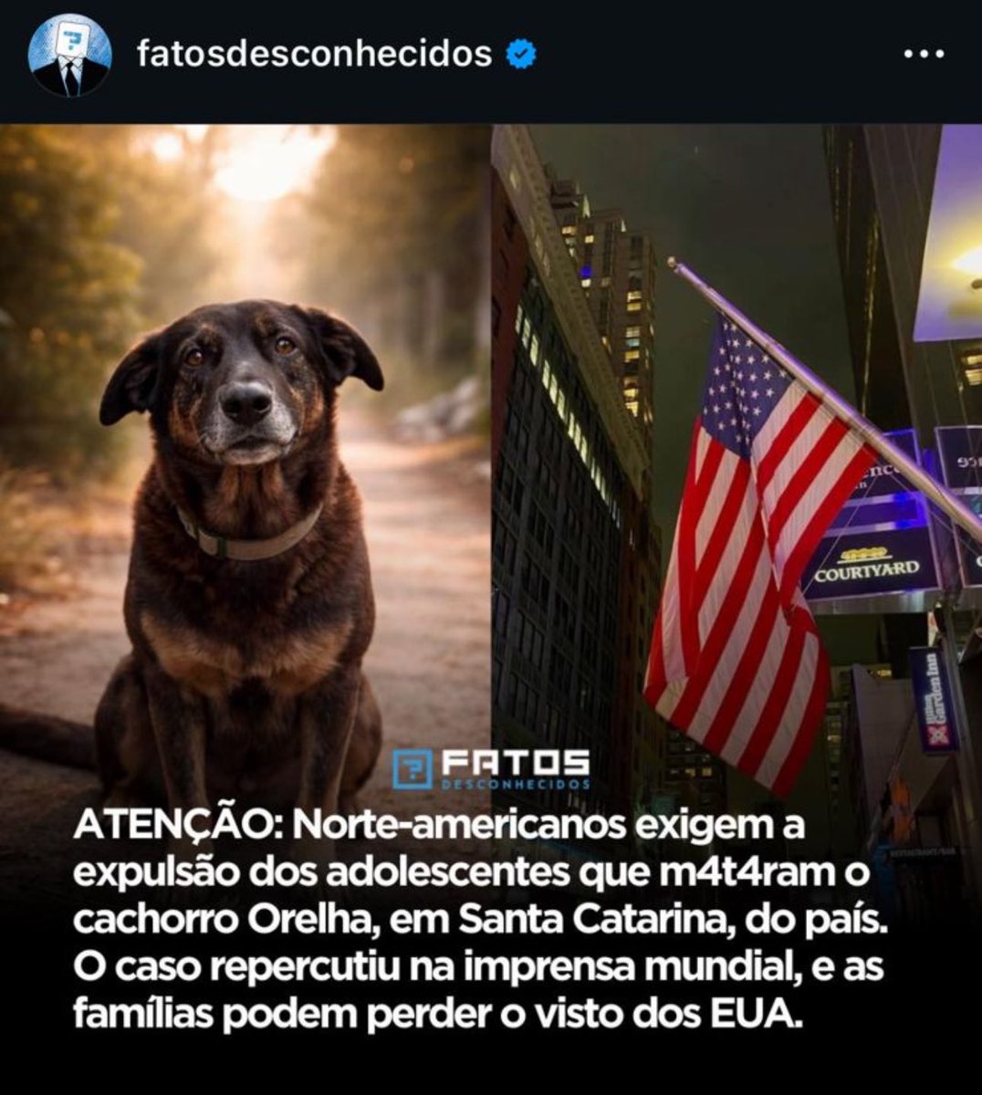 iti malias tweet media