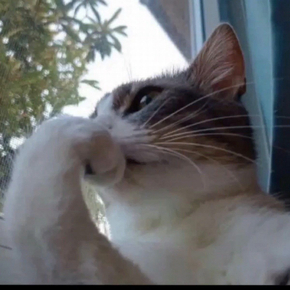 MyPrinm's tweet image. Dude sobre agarrar overtime pero luego recordé que vienen sana y jihyo y necesito ver a esas reinas en personaaaa