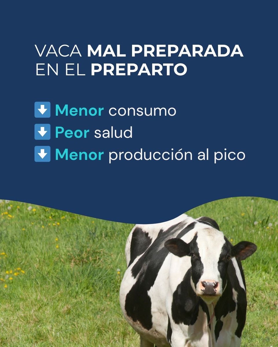 Nutrisur tweet media