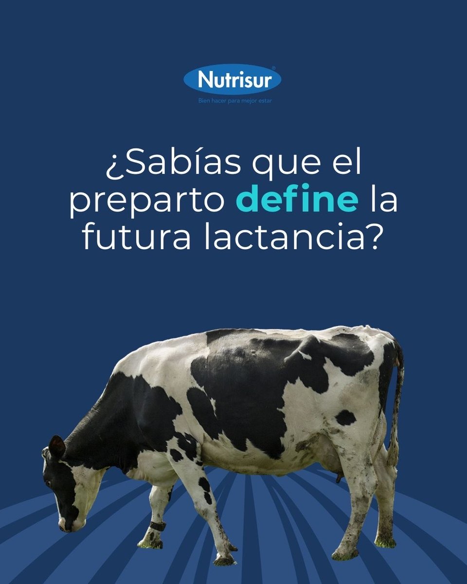 Nutrisur tweet media