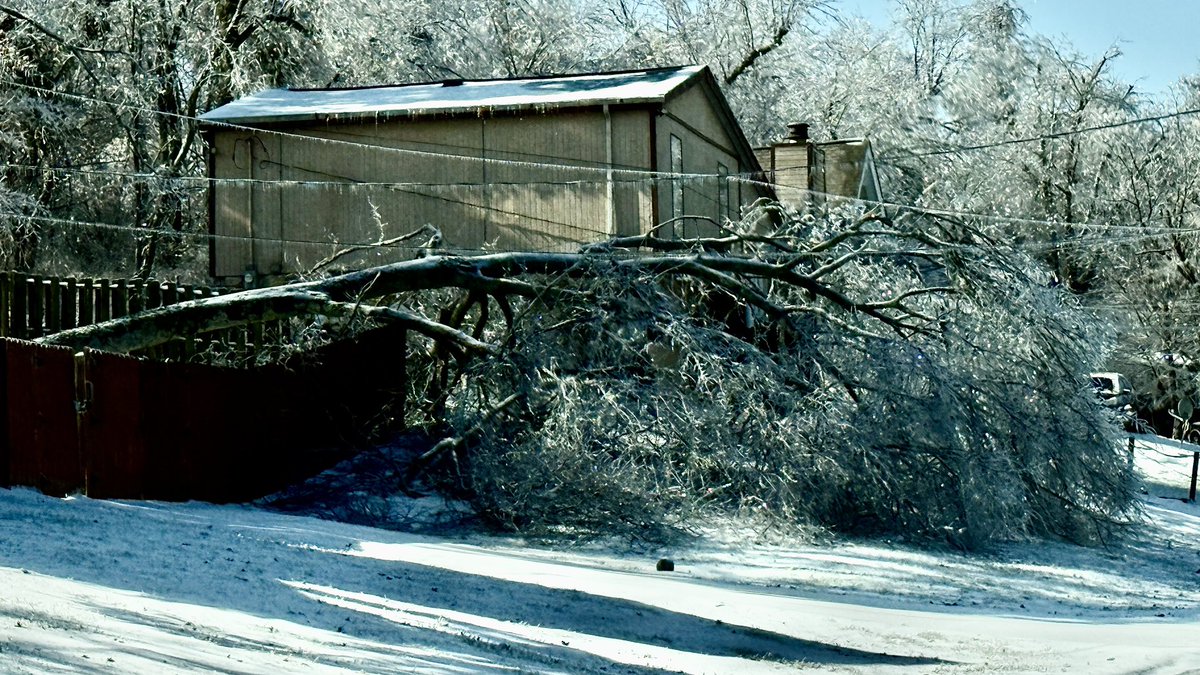 lead230's tweet image. Took these pics on Cedarmont Drive in South #Nashville today. Winter Storm #Fern impacted this area pretty bad! 📸 Lee Roberts #Tennessee #Weather