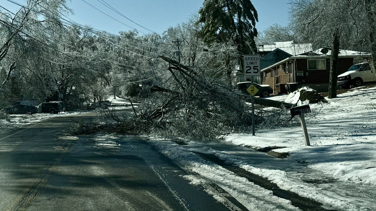 lead230's tweet image. Took these pics on Cedarmont Drive in South #Nashville today. Winter Storm #Fern impacted this area pretty bad! 📸 Lee Roberts #Tennessee #Weather