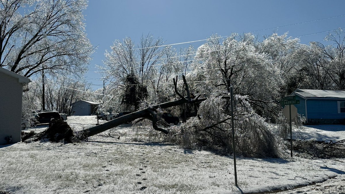lead230's tweet image. Took these pics on Cedarmont Drive in South #Nashville today. Winter Storm #Fern impacted this area pretty bad! 📸 Lee Roberts #Tennessee #Weather