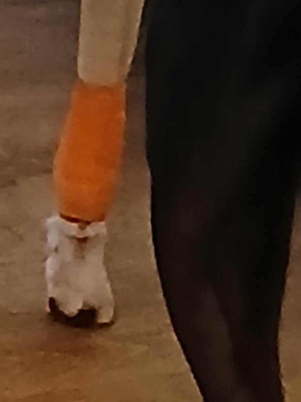 ☮️George Wilson 💛 tweet media