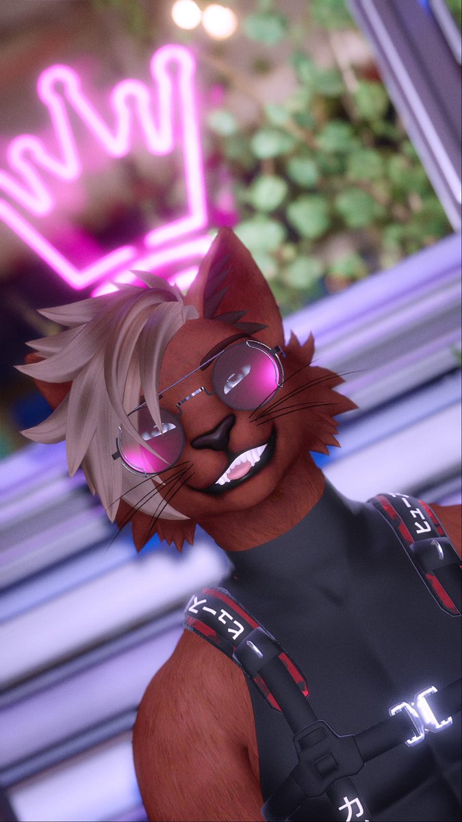 👑 :3

Photo taken by <a href="/santirovi/">santirovi</a>