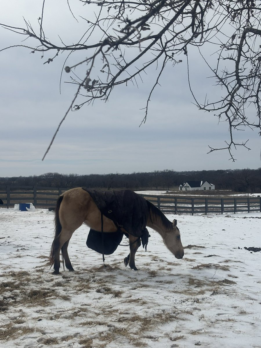 barelyr3al's tweet image. #wait i love being outside