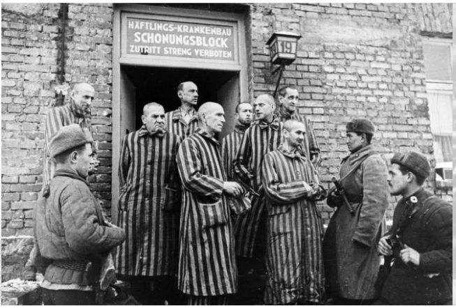 Glenn_Diesen's tweet image. 81 years ago today, on January 27, 1945, the Red Army liberated Auschwitz