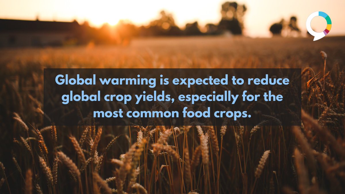 New research suggests that global warming could reduce global crop yields by 24% before 2100. The research also predicts that adaptation and new farmland will not be enough to offset this loss. agupdate.com/agriview/marke…
