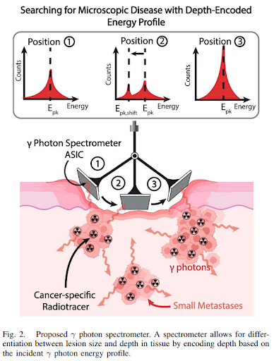 IEEE Transactions on Biomedical Circuits & Systems tweet media