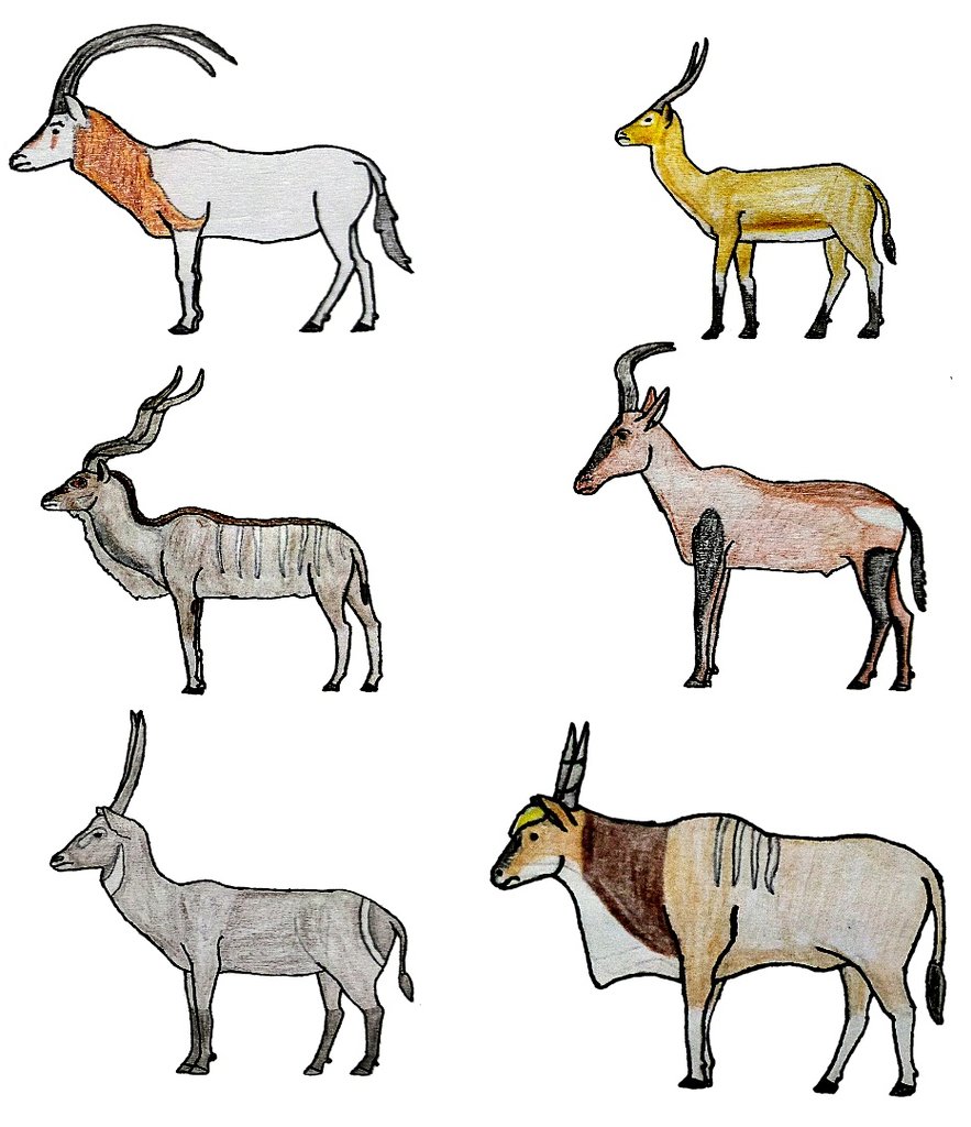 torm28's tweet photo. Misc African bovids.
Scimitar oryx Red Lechwe northern Common Reedbuck Waterbuck Red Hartebeest common Eland and Greater Kudu.
#Africa #Wildlife #Draw #Mammals #Drawanimals https://t.co/3aIxa6Hu6C