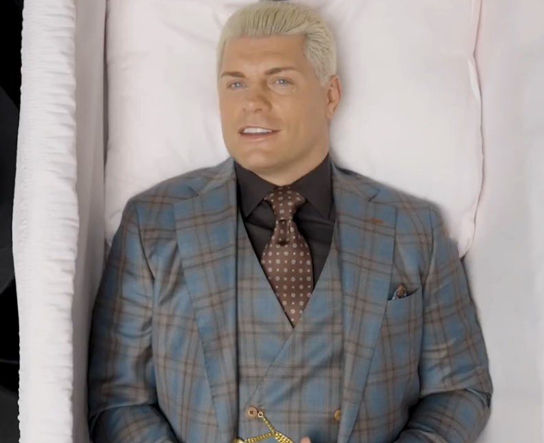 haylie | 🤍 tweet media