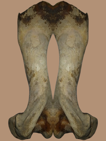 Leslie Keffer tweet media