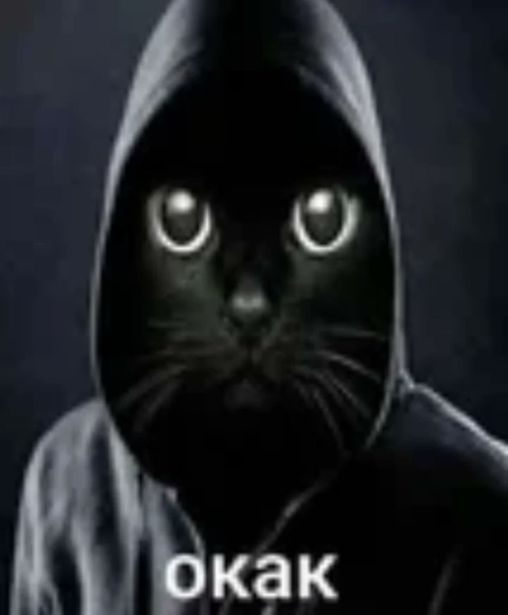 AltSibul tweet media