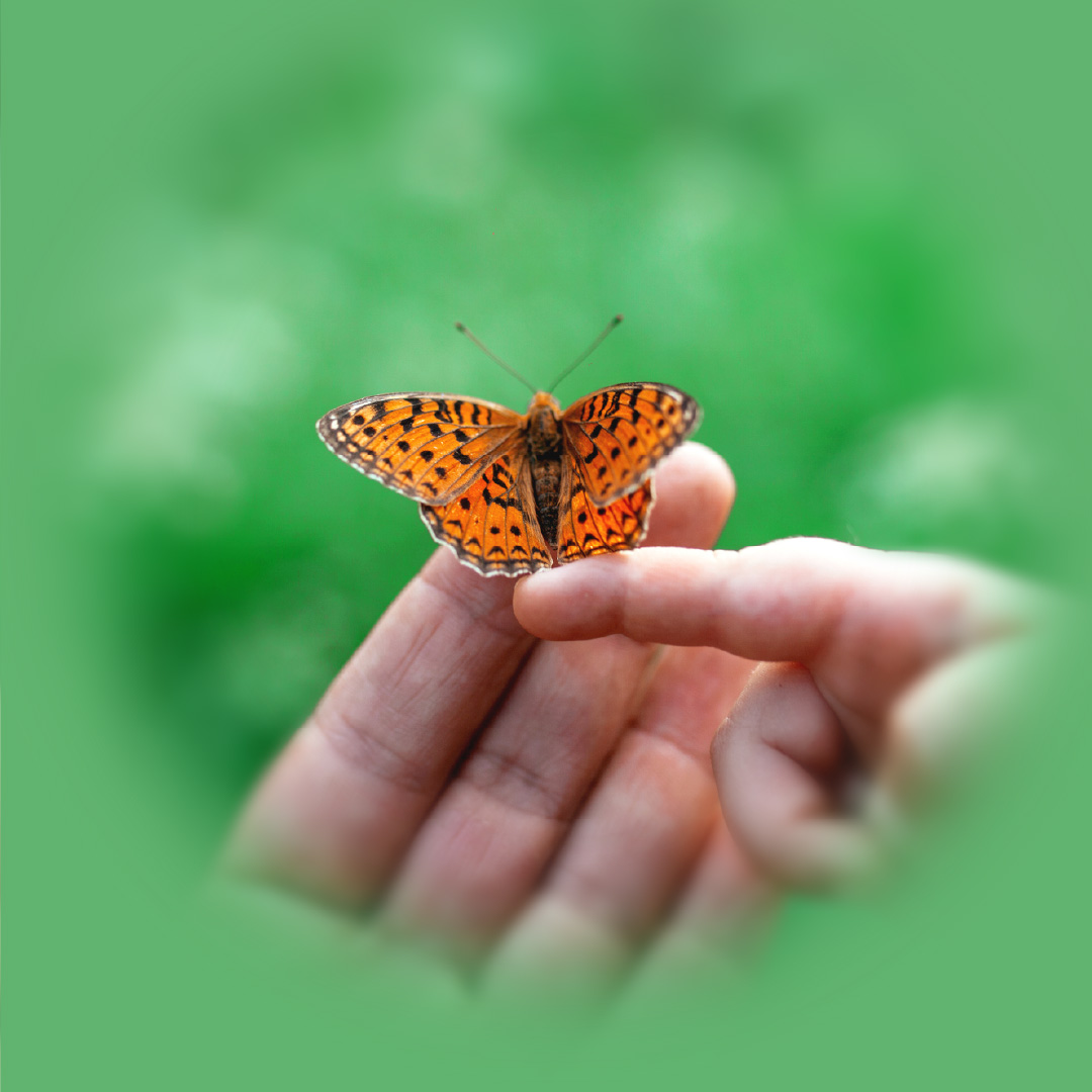 NatEyeInstitute's tweet image. Don't lose sight of what matters. #Glaucoma narrows your peripheral vision gradually, causing permanent damage. Get regular eye exams to catch it early and protect your eyesight. bit.ly/4sw1aog 

#GlaucomaAwarenessMonth