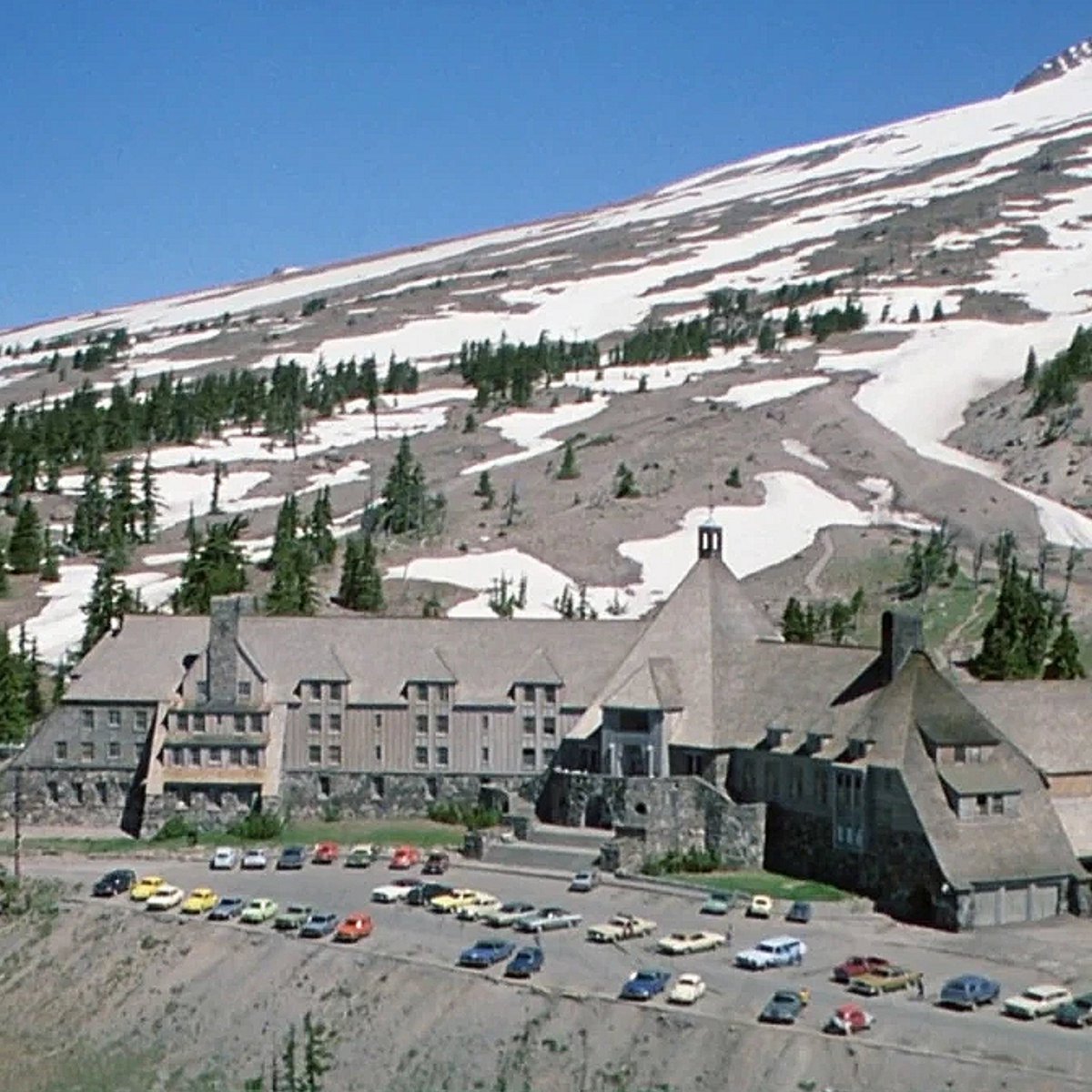 John Watches Horror tweet media