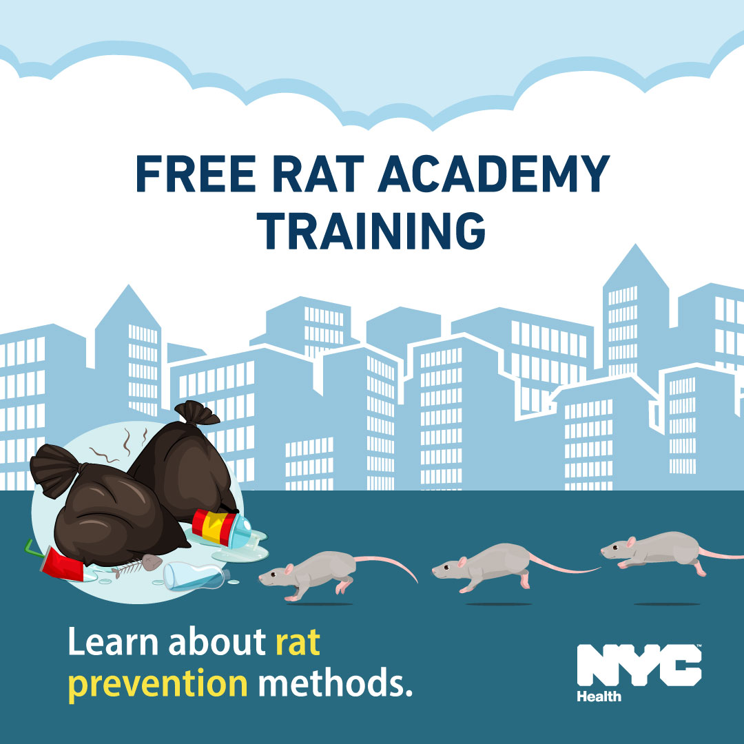 nycHealthy's tweet photo. Join us on Wednesday, January 28, for our free virtual Rat Academy training! You'll learn:
🐀 Why rats thrive in NYC
🐀 Rat biology and behavior​
🐀 What you can do to prevent rats
Sign up: https://t.co/oGJBOL4nte https://t.co/lLXE8HznFi