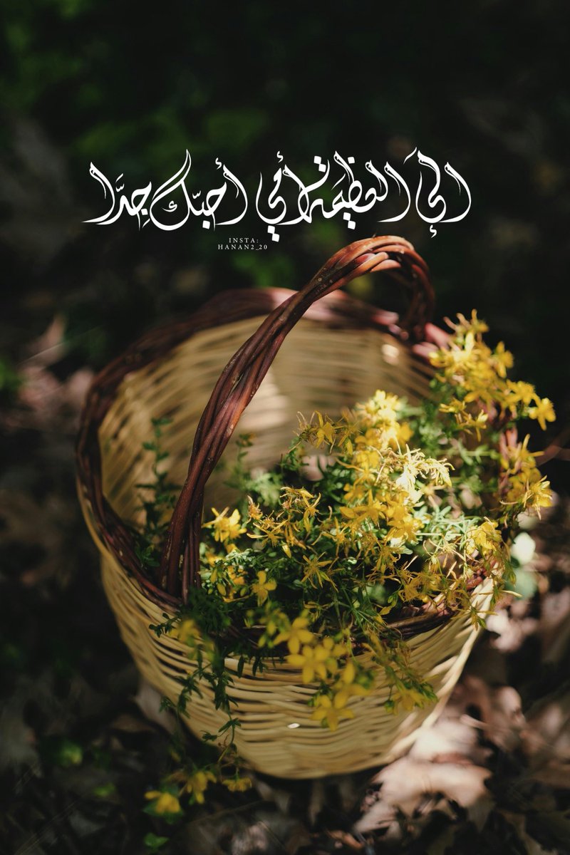 hanan2_20's tweet photo. مخطوطاتي 🌸 #تجمع_فنانيين13 https://t.co/jNevlNJjJA