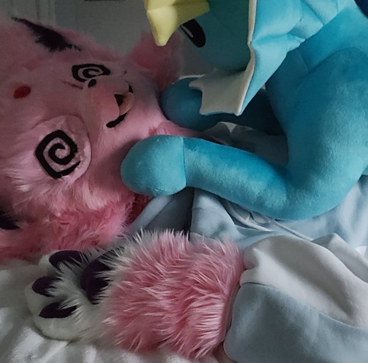 Momo 🔜 FCL tweet media