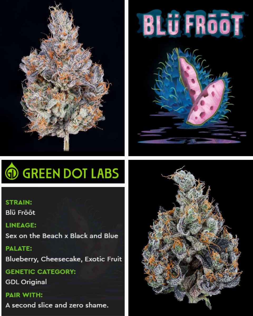 kindmedsaz's tweet photo. Who's feeling terpy this Tuesday?

Fruity. Cheesecake-coated. Flavor trip unlocked. This is Blü Frōōt. 😍😍😍

By @greendotlabshq

•
Not for sale. 21+ only. Educational content. https://t.co/xTeCGiG1vM