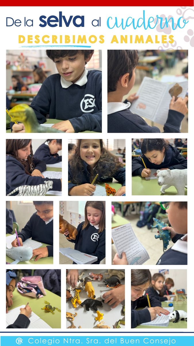 En 2º de Primaria unimos Lengua y Conocimiento del Medio en una actividad que despierta curiosidad y creatividad. Nuestros peques han elegido su animal favorito 🦁🐼🐸. Han trabajado el adjetivo describiendo sus animales y han recordado dónde viven, qué comen o cómo se mueven.