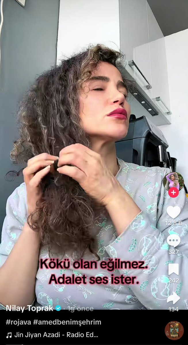 İnstagram üzerinden insanları hedef gösteren nilay toprak denen rojava destekçisinin zorbalık paylaşımını sildirdim. Gereken yapılmıştır 🫡✅️.