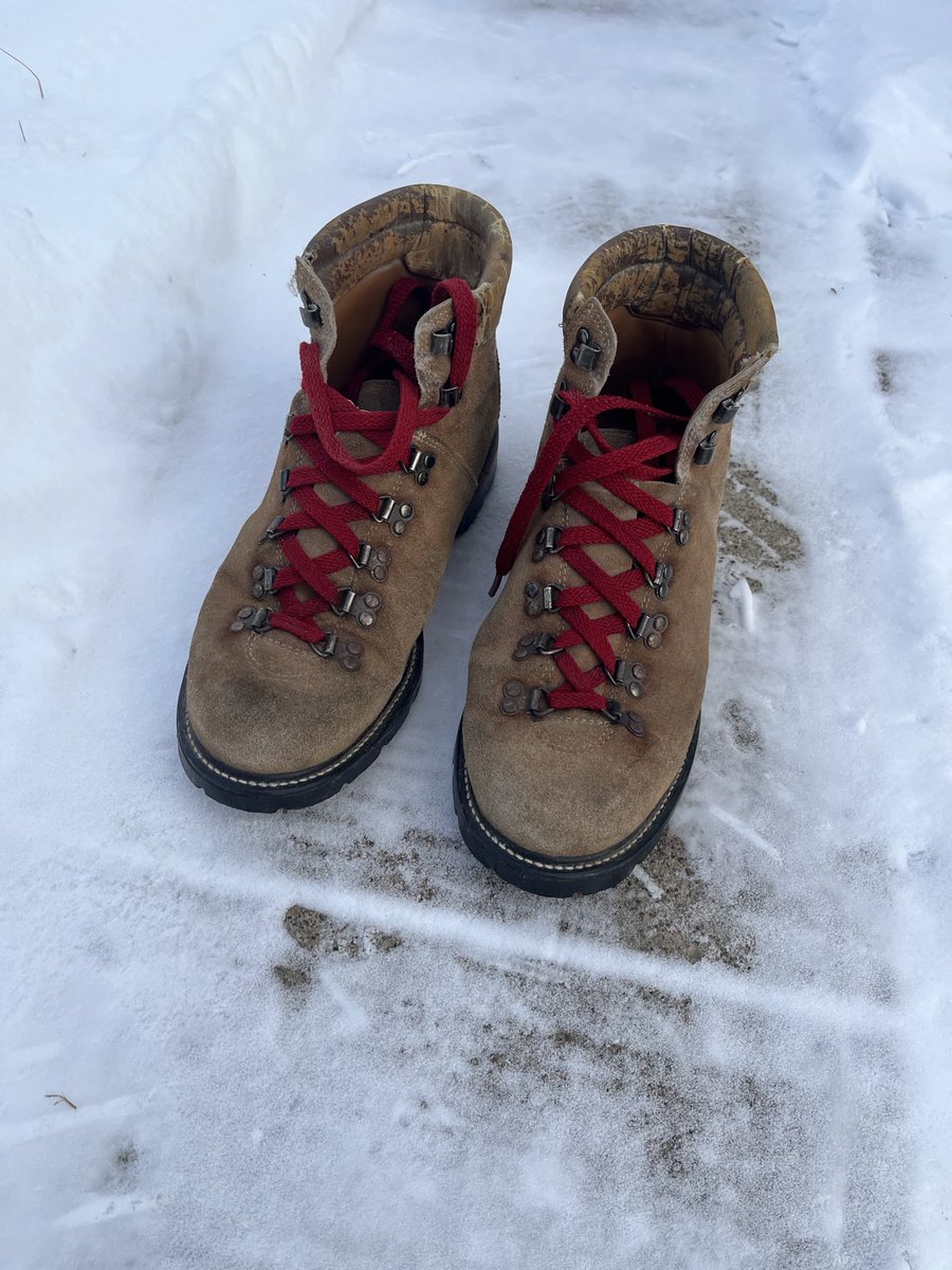 Bill Behrens tweet media