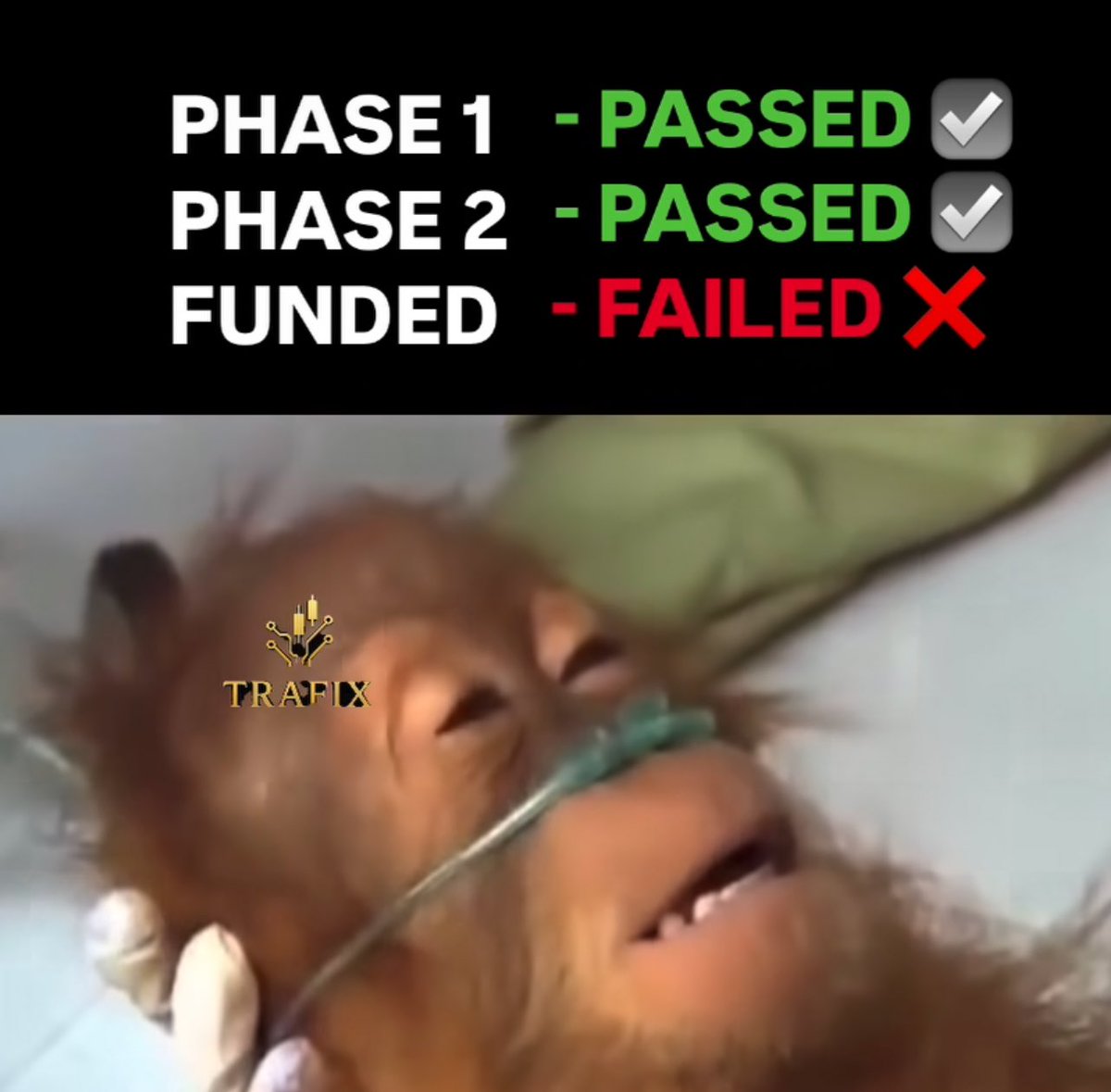 CRYPTO BAKERY (@Crypto_Bakery) / Posts / X