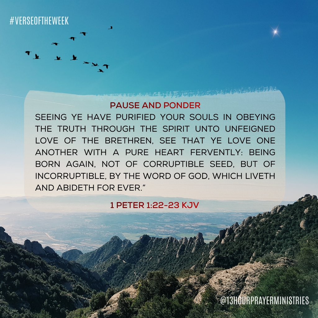 13HourPM's tweet photo. Pause and Ponder 🤍
Born again by the incorruptible Word called to purity, obedience, and fervent love for one another.
The Word that saves is the Word that sanctifies.
Are we truly abiding in Him? ✨📖

#gospel  #verseoftheweek  #13hourprayerministries https://t.co/zA8hdVmKtL