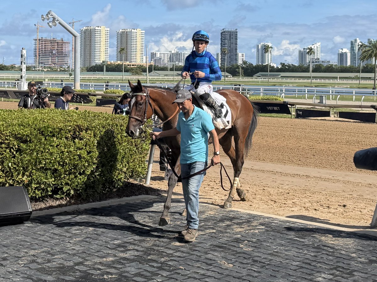 ceejayjohnsen's tweet photo. It might not have been one of the big races on the day but it felt like a stakes win to us. Always special when you get to share it with your wife & friends. What a weekend. #SwingVote https://t.co/GSpGLQvPAC