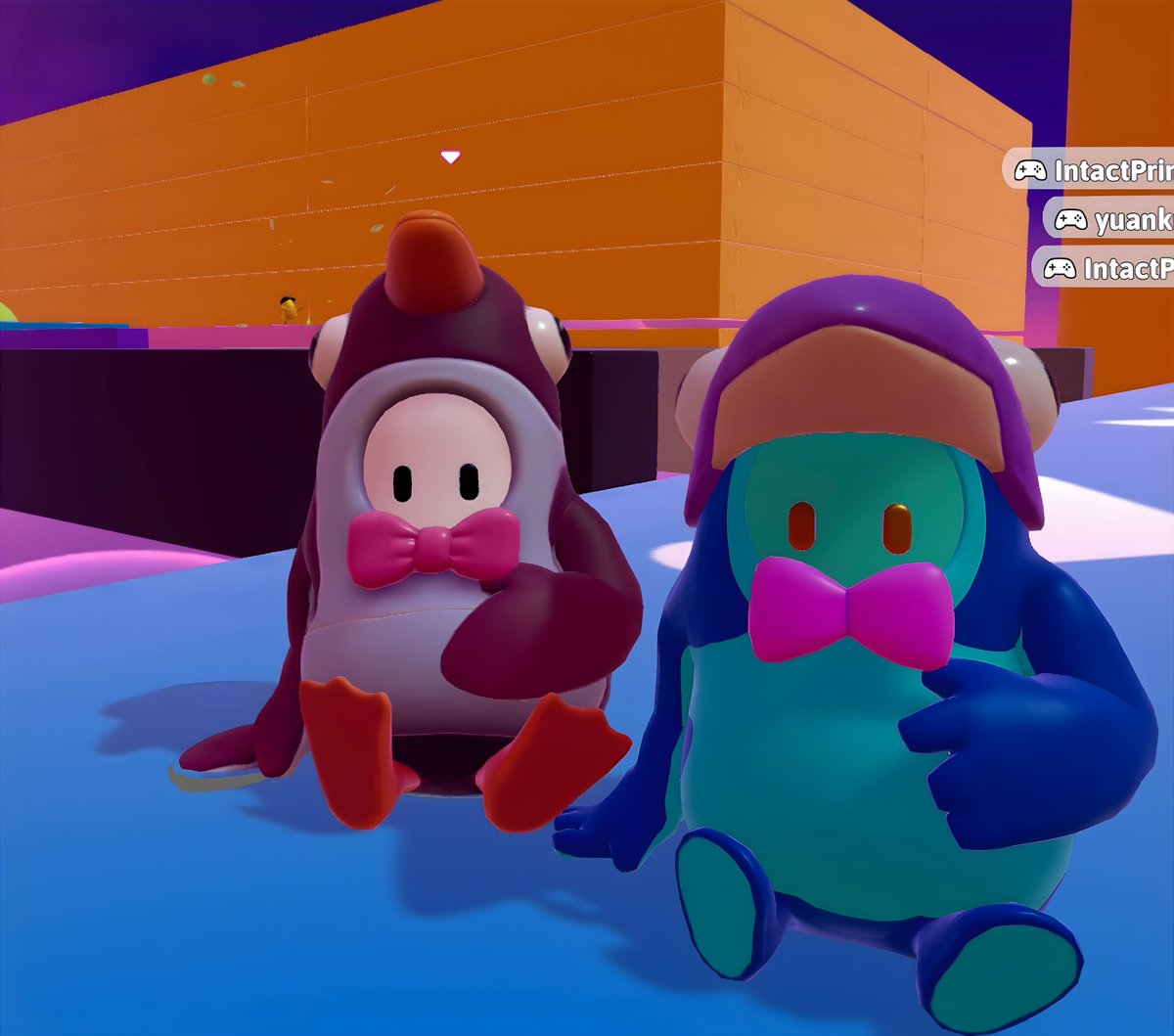 自由探索ドアップで鳥(撮り)隊🐧