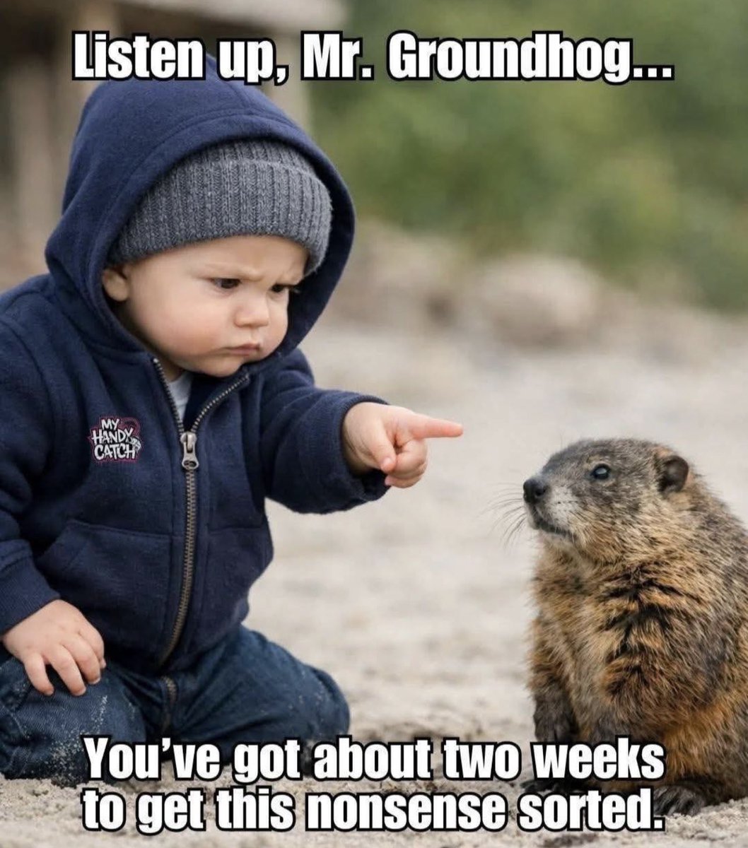 Danielle Breezy tweet media