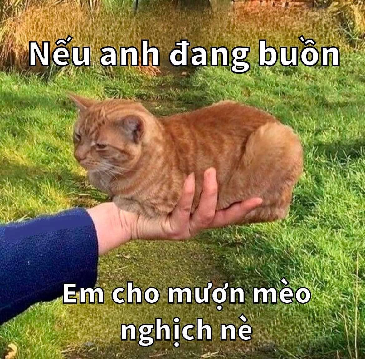 Thỏ 8 tủi🐰 tweet media