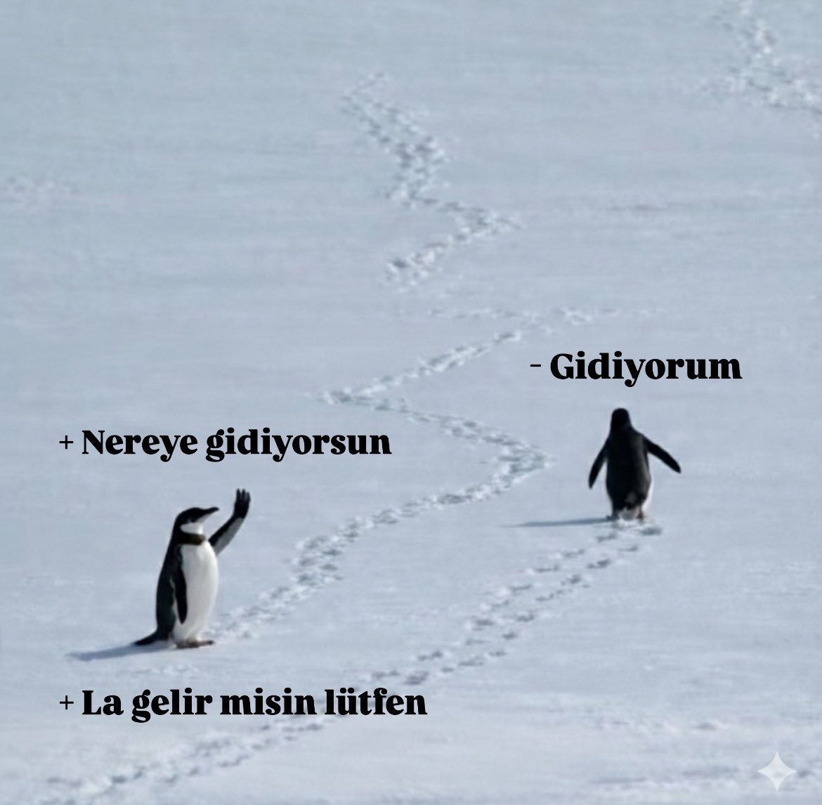 3 gündür düşündüğüm o tivit