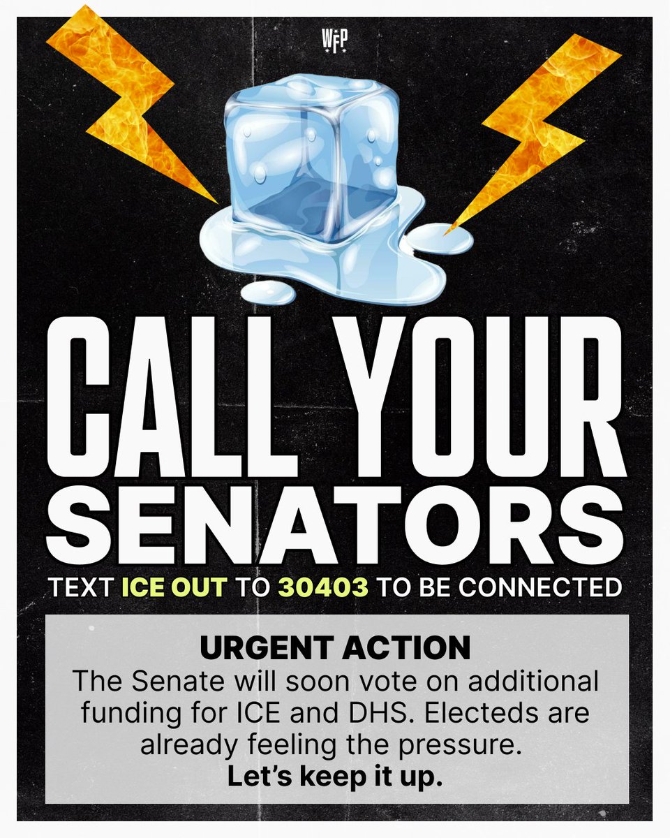 Working Families Party 🐺 tweet media