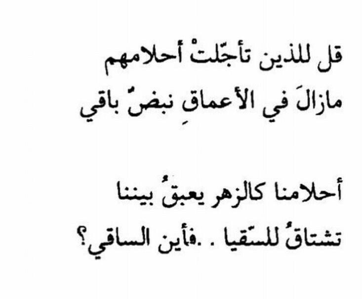 بسم الله tweet media