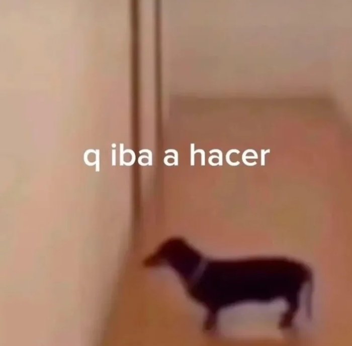 bekxiiuuu's tweet image. yo cada 5min: