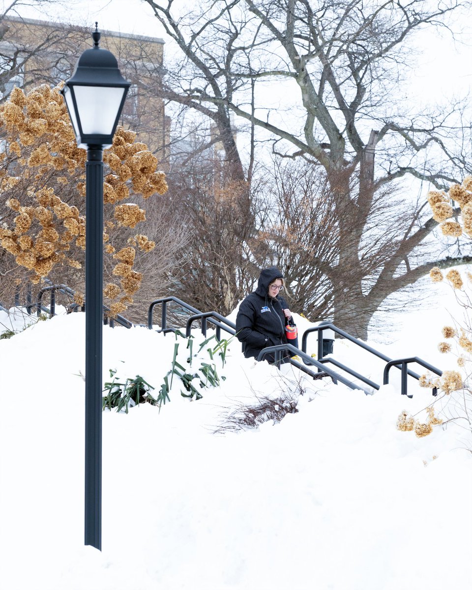 Mount Saint Mary College tweet media