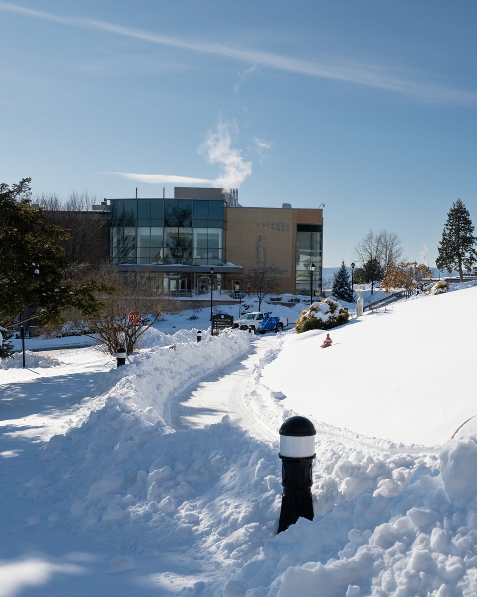 Mount Saint Mary College tweet media