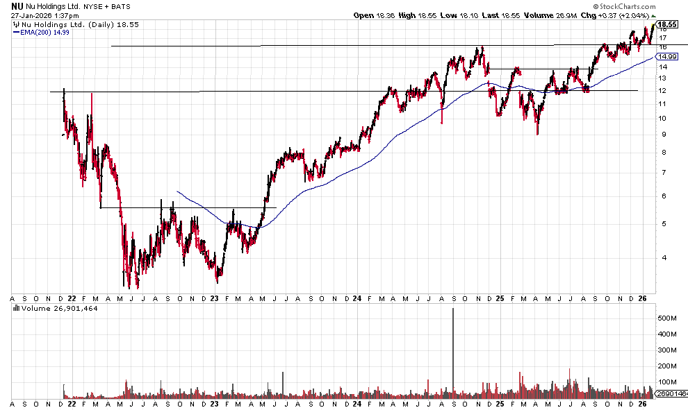 THE SHORT BEAR tweet media