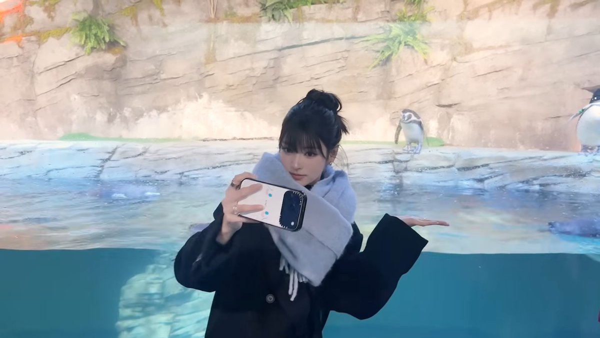 Bellamy_8's tweet photo. もう、、ピクセル単位でうつくしいわ、、
https://t.co/N3q2HGtLWw