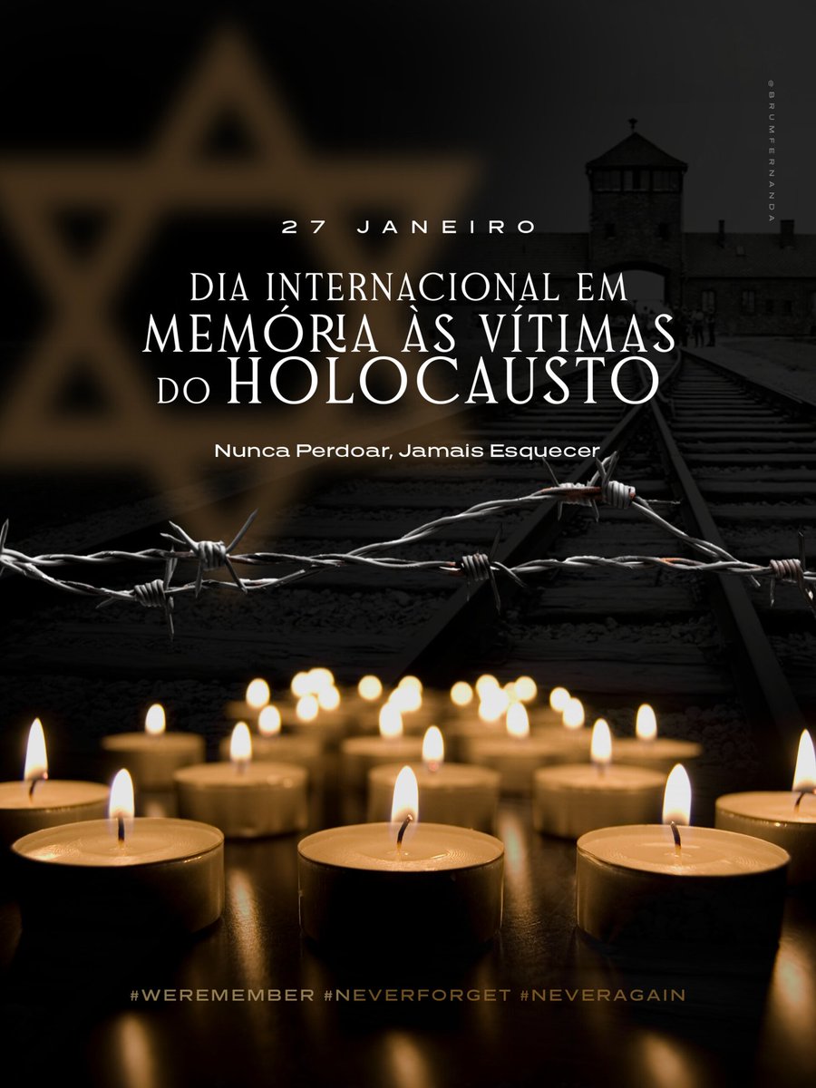 Fernanda Brum tweet media