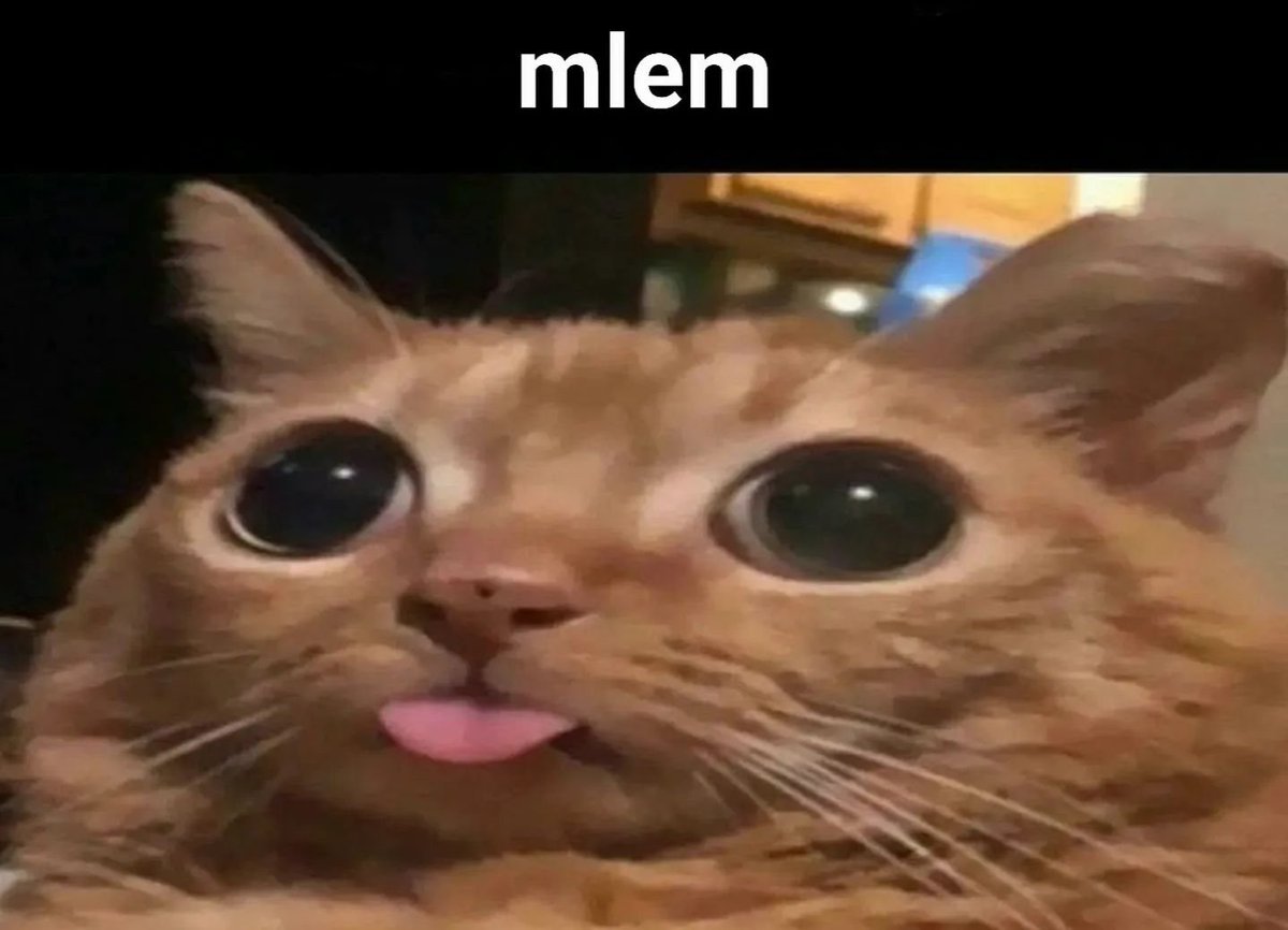 Punch Cat (@punchingcat) on Twitter photo 