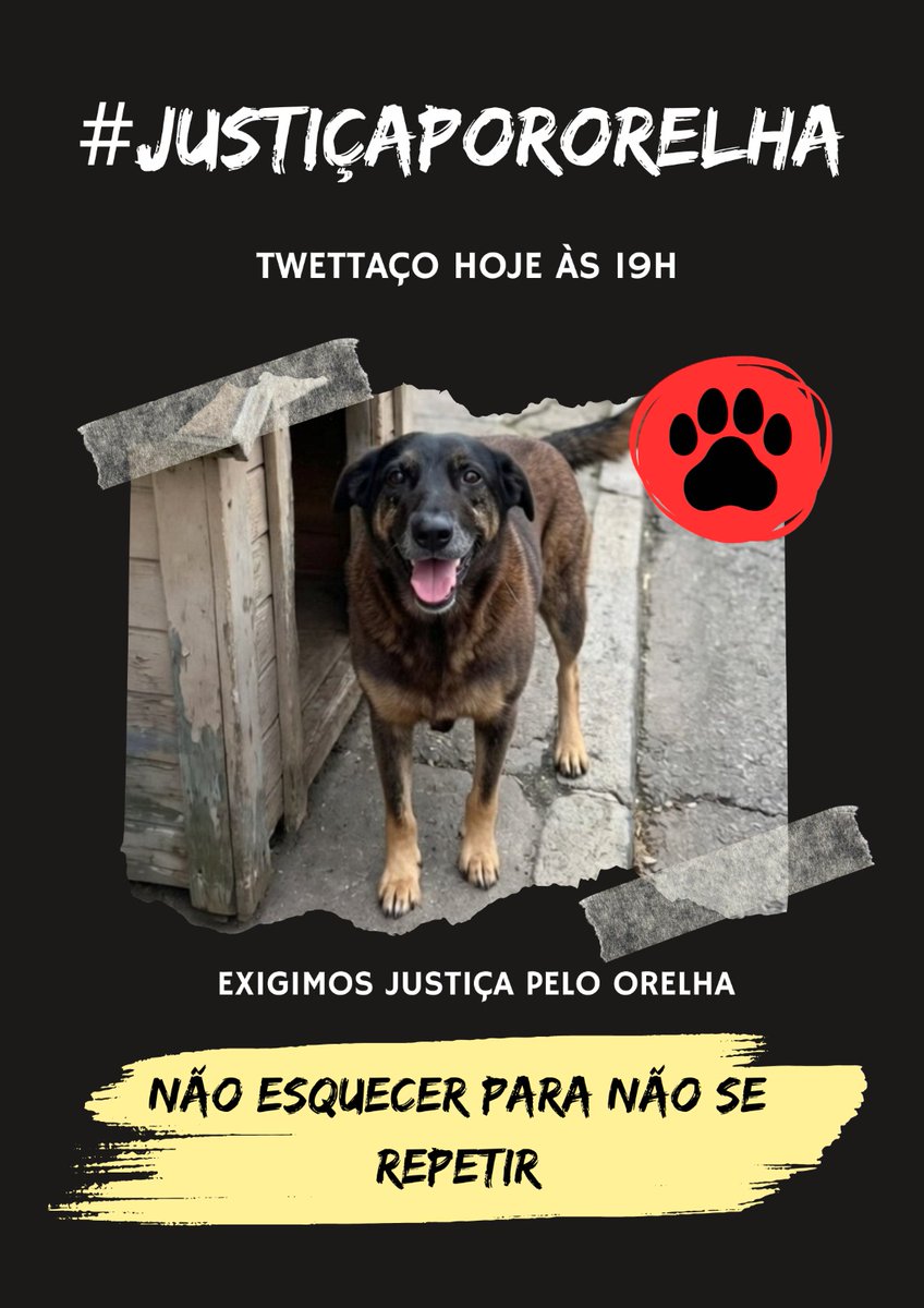 avohais's tweet image. Mais tarde tem twittaço, pessoal. Ajudem a divulgar.