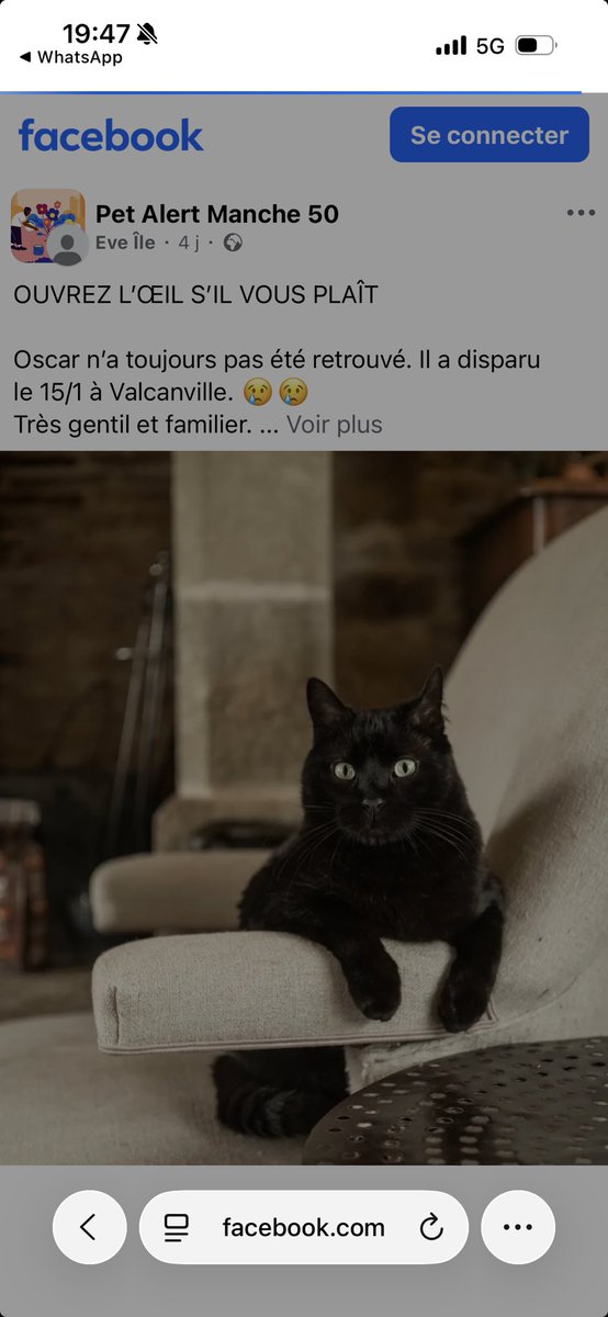 plumedoua's tweet image. 