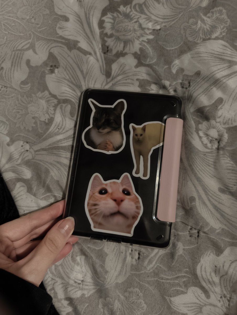 macskakert tweet media